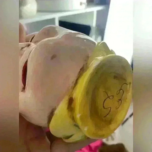 Vintage Character Jug Collectible - Picture 7 of 9